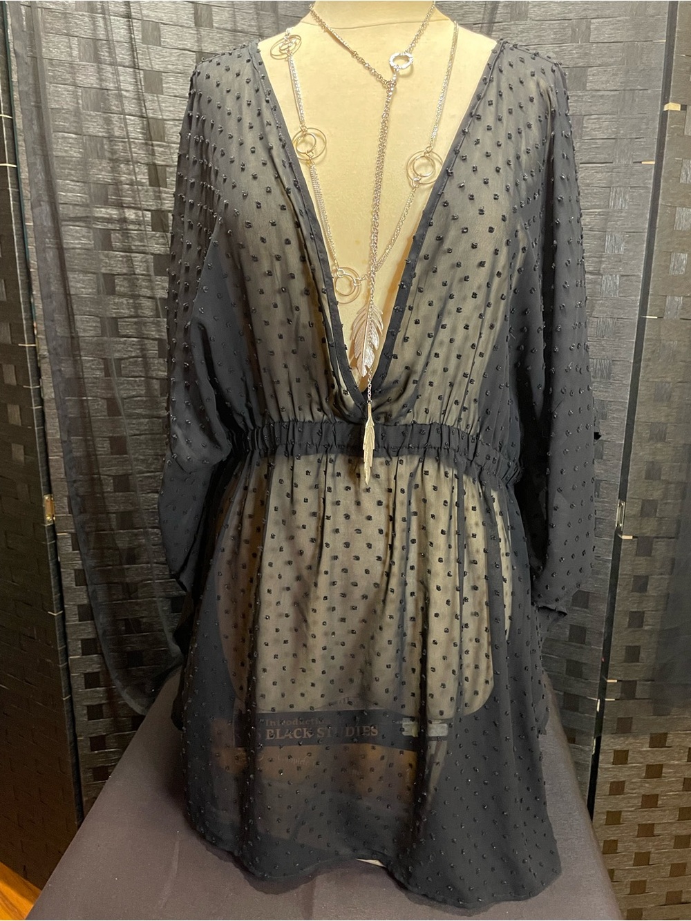 Sheer Black Plunge Swim Coverup